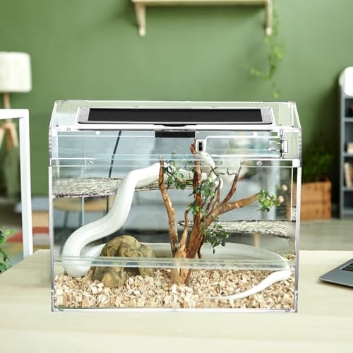 QWORK® Caja de alimentación para Reptiles, Reptile Growth pc terrario, 30 * 18 * 22cm para una Variedad de Reptiles e Insectos