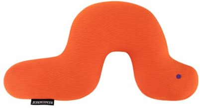 Remember Kuschelkissen Ameisenbär Edgar, B 65 x T 31.8 x H 6 cm, Bio-Baumwolle/Polyester – Kinder Kuschelkissen im Tierdesign (Raupe Frieda, B 50 x T 26 x H 5 cm)
