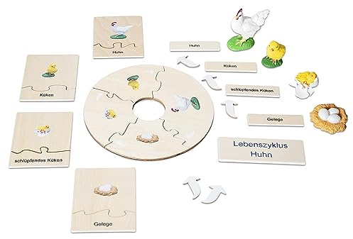 Betzold - Lebenszyklus Huhn - Figuren Holz-Puzzles Entwicklung Biologie Unterricht