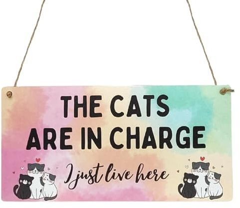 Second Ave Funny The Cats Are In Charge Wooden Hanging Rectangle Home Sign Plaque