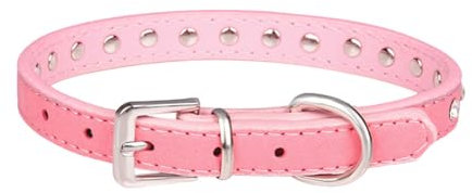 KGDUYC Collare per Cane in Pelle, Collari per Cani e Gatti, in Pelle Sintetica con Strass, Simpatico Collare per Cuccioli Collare in Pelle Scamosciata Lucida con Diamanti con guinzaglio (Rosa, M)