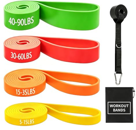 Resistance Bands for Working Out, 5-125LBS Pull Up Assist Bands Set | Equipped with Door Anchor, Carry Bag & Instruction Guide, high elasticity home gym training & physical therapy for men women