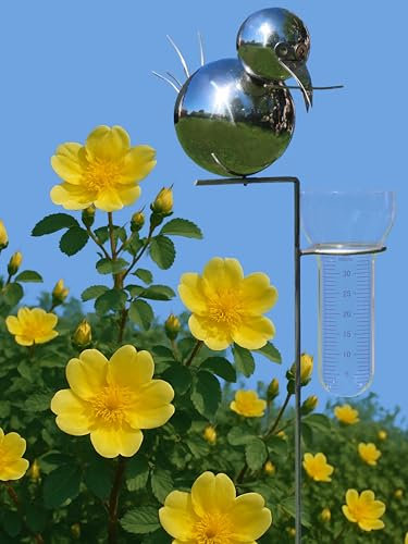 Pommerntraum ® | Edelstahl rostfrei Regenmesser Niederschlagsmesser Pluviometer hochwertige Gartendeko Gartenkunst Gartenstecker Vogel Vögel (Edelstahl hochglanzpoliert)