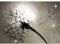 Runa Art Fototapete Pusteblume Sonne Modern Vlies Wohnzimmer Schlafzimmer - Made in Germany - 308 x 220 cm Braun 9501010a