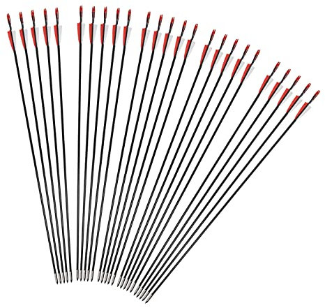 iMeshbean Fieberglaspfeile Pfeile für bogenschießen, 25 Stück Bogenpfeile Erwachsene 6mm Fiberglaspfeil Jagdpfeile für Bogen, Recurvebogen, Sportbogen (Rot)