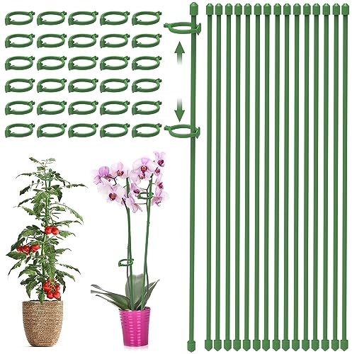 45 Stück Orchideen Stäbe Set, 30CM Pflanzenstab Rankhilfe, Pflanzenhalter Stabilisieren, Blumenhalter Garten, Blumenstütze Zimmerpflanzen mit 30 Pflanzenclips für Amaryllis, Pfingstrosen, Paprika