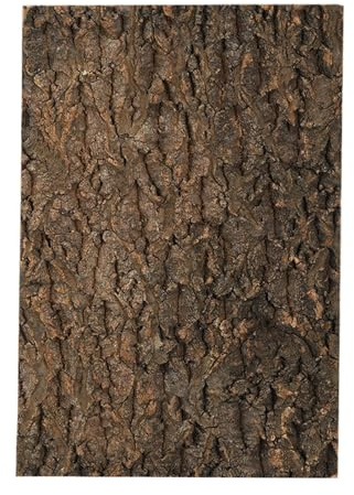 Generico Legno di Sughero per rettili Ornamento Paesaggio Idrorepellente | Sfondo in Sughero per il Terrario Per Chi Ama Tartarughe, , Lucertole, Camaleonti