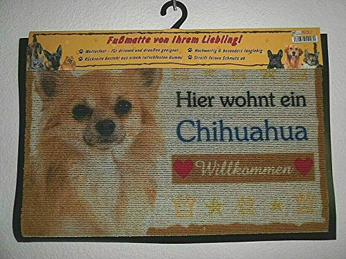 Pfronten Fußmatte Chihuahua (11), Fußabtreter, Türvorleger, Türmatte Hund wetterfest