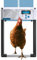 Hühnerklappe Automatisch ChickenGuard All-in-One, Hühnerstalltürfarben in Vier Farben, Timer/Lichtsensor, Auto-Stop, Raubtiersicher, Wintermodus-Power-Boost, Batterien Enthalten (Blau Tür)