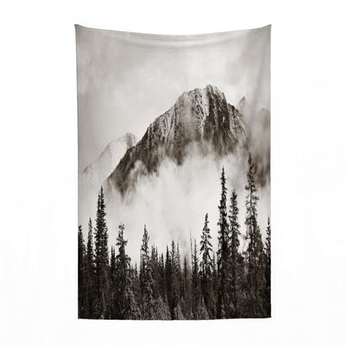EYLOZS Kuscheldecke flauschig & super weich - hochwertige Fleecedecke auch als Wohndecke,Sofadecke & Wohnzimmer geeignet,Nebelige Berge und Wälder im Banff-Nationalpark in Kanada.100x130cm