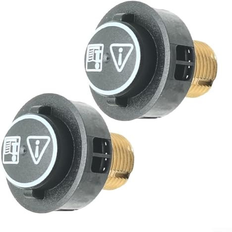 Besttoolifes Valvola di sicurezza in ottone per pulitore a vapore, con guarnizione O-Ring, per aspirapolvere a vapore Karcher SC4 SC5 (confezione da 2)