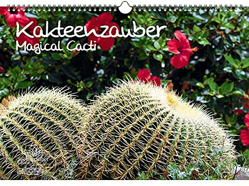 Kakteenzauber DIN A3 Kalender - Immerwährender Kalender Kakteen und Blüten - Seelenzauber