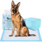 Ownpets Hundetrainingsunterlage,90 x 80cm 20 Count Leak-Proof 6-Layer Pet Potty Training Pads Pee Pads mit Quick-Dry-Oberfläche für Haustiere Extra-Large
