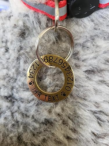 Hundemarke Ring aus Edelstahl mit beidseitiger Gravur für Hunde, Katzen und Welpen, fünf Farben, zwei Größen Durchmesser 30mm und Durchmesser 25 mm (30 mm, Gold)