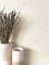 NEWROOM Papier peint Beige Arc Intissé - Moderne Gris Blanc Ligne Boho