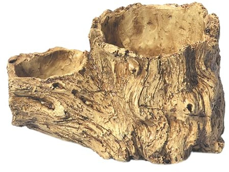 Maceta de cemento vintage de resina para decoración de interiores y exteriores, diseños de raíces de árbol para suculentas y bonsáis, jardín, escritorio, macetas de resina