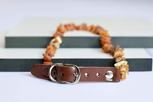 Bernsteinkette für Hunde aus Roh Baltischer Bernstein | Zeckenhalsband | Bernstein Gegen Zecken | Zecken und Flohschutz Halsband (35-40 cm)