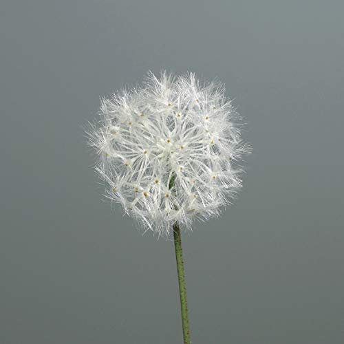 mucplants Pusteblume 85cm Kunstblumen künstliche Blumen Löwenzahn Pusteblumengras