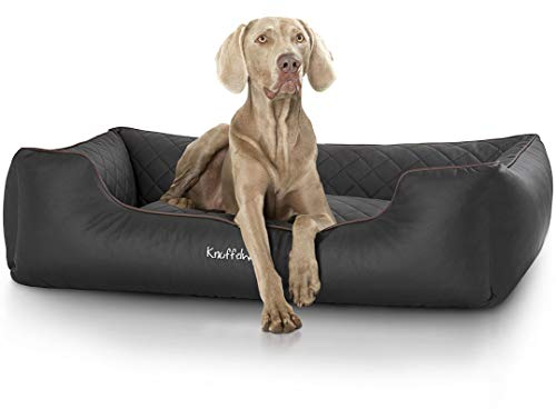 Knuffelwuff Orthopädisches Hundebett Madison aus laser-gestepptem Kunstleder XXL 120 x 85cm Schwarz - abnehmbarer Bezug - leicht zu reinigen - für große, mittelgroße und kleine Hunde