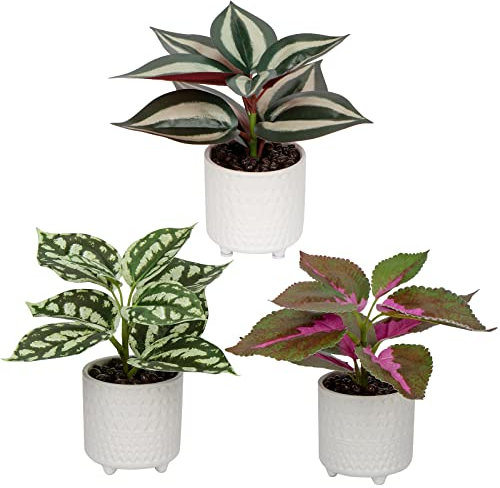 3er Set Kunstpflanze Deko Kunstpflanze klein Pflanzen im Keramiktopf Kunstpflanze Dekoration Modern für Home Office Badezimmer Küche und Innendekoration