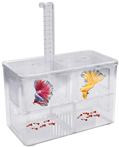 Zuchttanks für Aquarien, Aquarium Laichbecken Brutkasten aus Kunststoff Breeding Box Aufzuchtbehälter für Fische, Fischzuchtkasten mit Haken 2 Saugnapf, Zucht Isolation Box Double Layer Laichkasten