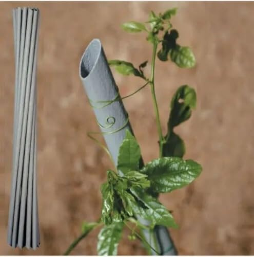 Pali sostegno ortaggi pomodori tutore piante in plastica pvc Tenax (6, 240 CM)