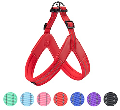 EXCELLENT ELITE SPANKER No Pull Hundegeschirr, Step-in, verstellbar, reflektierende Weste, weich gepolstert, Brustgurt mit Leinenclips für kleine, mittelgroße und große Hunde, Spaziergangstraining