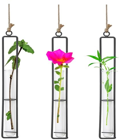 Vastsea 3 Stück Glasvase Aus Schmiedeeisen, Flasche Reagenzglas für Blumen, Hängende Metall Luftpflanzen Halter, Metalleisen Kreativ Wandbehang Pflanzen Glasvasen für Heimtextilien(22.5 x 4 cm)