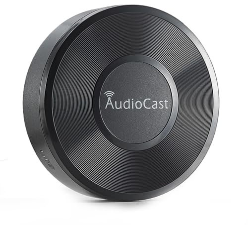 Docooler Hi-Fi-Audioempfänger, kabelloser Sound-Streamer, tragbarer Audio-Lautsprecher mit Multiroom-Unterstützung, kompatibel mit iOS/Android/Tablets