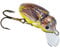 Balzer Matze Koch Wobbler Krabbelgruppe Maikäfer