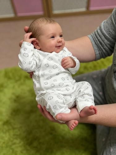 Anano Reborn Baby Vollsilikon Lebensecht, Echte Baby Puppe 50 cm Reborn Toddler Vollsilikon Baby Reborn Puppen Lebensecht Fütterfunktion, Lebensechte Puppen Mit Zubehör (Bauernhaus) (Klassisch)