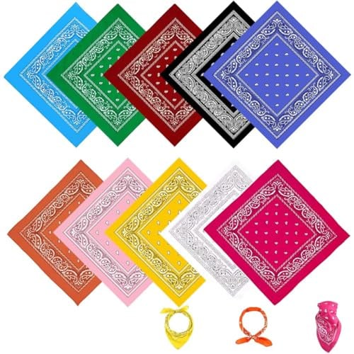 Baumwolle Bandana Kopftuch, 10 Stück Bandana Damen Herren, Kopftuch Halstuch Männer, Unisex Tuch Bindetuch, Headwear Haar Schal Paisley Muster(55 x 55 cm)