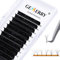 Gemerry Easy Fan Lash Extensions D curl 0.07mm 8-14mm Mixed Tray Noir Russian Volume Automatic Blooming Self Fanning Lashes Long Individual Volume 3D 4D 5D 6D 8D Lash Fan (0.07-d curl-mix 8-14mm)