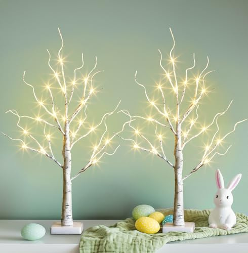 PEIDUO Christmas Decorations, 2FT Birch Tree with LED Lights, Warm White Light up Tree Lamp, Artificial Trees for Home Table Inside, Battery Powered, Timer (2PK)