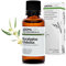 Eucalipto Globulus BIO (Eucalyptus globulus) - 30 mL - Aceite Esencial Quimiotipado y Certificado AB - Salud respiratoria - Aroma Labs