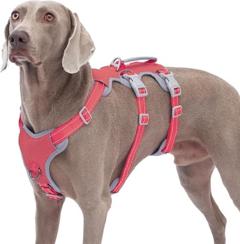 Huntboo Hundegeschirr Ausbruchsicher, Panikgeschirr Hund, Reflektierender Gurt mit Gepolstertem Griff, Atmungsaktiv, Verstellbare Weste für Große Hunde, die Spazieren Gehen,und Rennen (Rot, L)