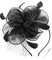 Coucoland Fascinators 1920 Fascinator Hut Damen Feder Blumen Mesh Elegant Hochzeit Fascinator Haarreif Cocktail Tee Party Accessoires