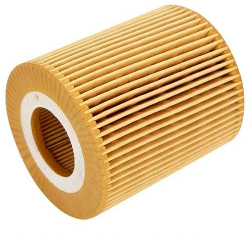 Filtro Olio 11427508969 per BMW Serie 1 3 5 X1 X3 Z4 Roadster E46 E81 E87 E90 E60 E61 E84 E83