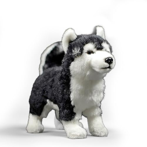 PuffPurrs Lebensechtes Heterochromia Husky Plüschtier, Realistischer Blau- und Braunäugiger Teddy, Süßes Haustierliebhaber Kissen-Geschenk, 23 cm