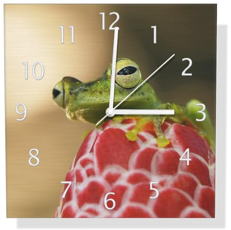 Wallario Design Wanduhr Frosch sitzt auf Einer Knospe aus Aluverbund, Alu-Uhr Größe 30 x 30 cm, weiße Zeiger mit Metalloptik