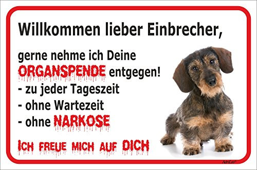 AdriLeo Schild - Vorsicht Rauhaardackel - Willkommen lieber Einbrecher - (20x30cm) / Achtung Hund Wachhund Dackel Teckel Dachshund robust langlebig UV-beständig wetterfestes Warnschild