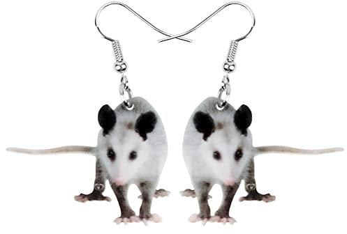 DUOWEI Acryl Lateinamerika Opossum Ohrringe Lustige Opossum Baumeln Schmuck für Frauen Mädchen Teenager Geschenke Charms (Wolke)