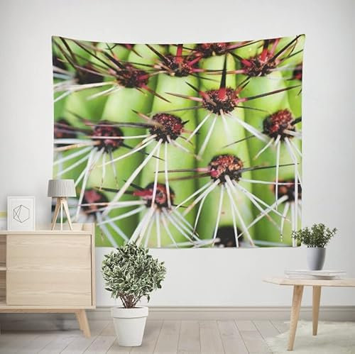 EHOMERY Wandteppich Paar Wanddekoration Kinderzimmer Junge Kaktus Wandbehang Stoffbild Wandtuch Lang Wohnzimmer Schlafzimmer Wandbehang Dekoration 100x70cm