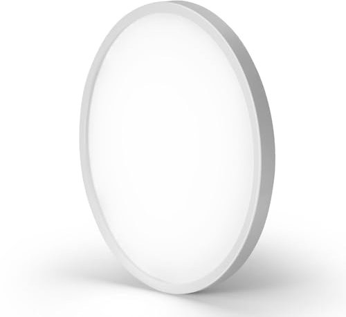 Mikeru 50CM/19.69inch Contemporary Ceiling Light, 6000K Cool Light White Bathroom CeilingLight, 48W Super Slim Thin LED Lights 2.4cm Flush Mount LED Hallway Ceiling Lighting for Entrance Hall