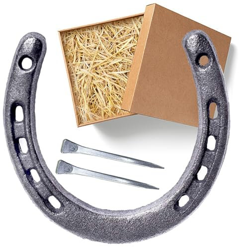 Personalisiert Glückshufeisen für Hochzeit oder Einzug Geschenk Set mit 2 Nägel,Hufeisen Deko Set mit Glücksbringer Kindergeburtstag mit Geschenkbox aus Kraftpapier zum Einzug Abschlussgeschenk