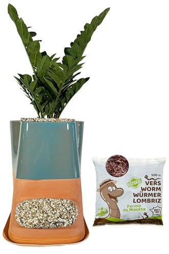 Moutta|Transfarmers Pot de Fleurs et lombricomposteur Turquoise en Terre-Cuite 17L|Pack avec 250gr de vers de Compost