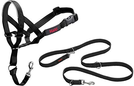 Halti Kopfhalsband und Trainingsleine Kombi-Pack, stoppt das Ziehen des Hundes auf Spaziergängen, beinhaltet Kopfhalsband Größe 5 und doppelendige Leine, schwarz