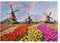 1000 Teile Puzzle für Erwachsene - Holländische Windmühlen Tulpen Blumen Landschaft