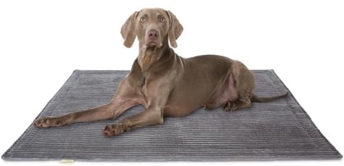 Knuffelwuff Hundedecke Timor 100x70cm Grau - Bequeme und Pflegeleichte Liegedecke aus weichem Cord - waschbar - für große, mittelgroße und kleine Hunde