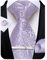 DiBanGu Silk Woven Tie Set for Men Light Purple Paisley Necktie Handkerchief Cufflinks Set Party Wedding Gifts